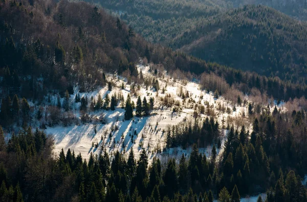 Schneebedeckte Wiese inmitten von Wäldern am Hang — Stockfoto