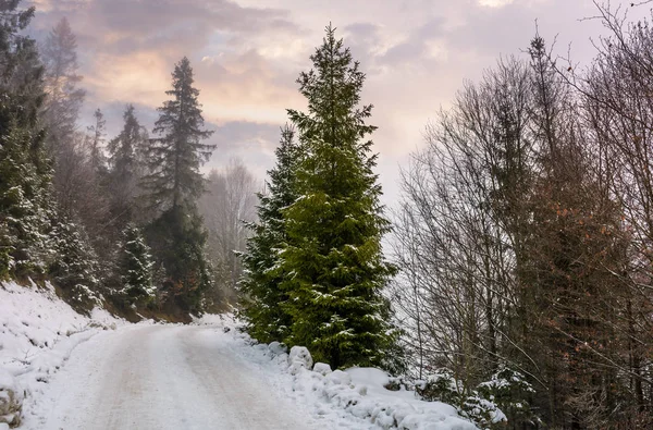 Straße durch verschneiten Wald am nebligen Morgen — Stockfoto