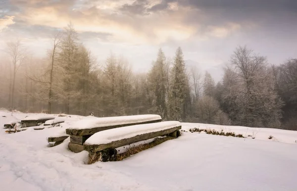 Lugar de acampamento abandonado na floresta de inverno — Fotografia de Stock