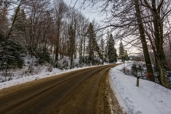 Estrada de asfalto através da floresta de inverno — Fotografia de Stock