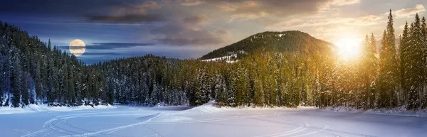 Dzień i noc pojęcie zima świerkowy Las — Zdjęcie stockowe