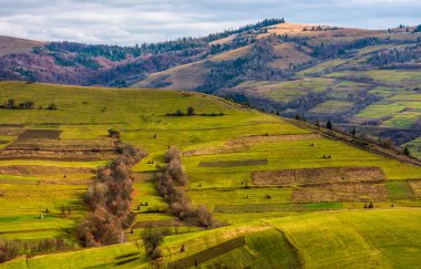 kırsal Hill'de çimenli geç sonbahar güneşli gün