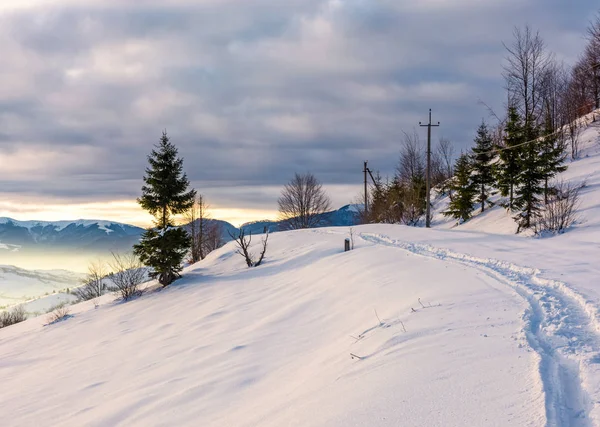 Karlı yamaç ile kırsal patika — Stok fotoğraf