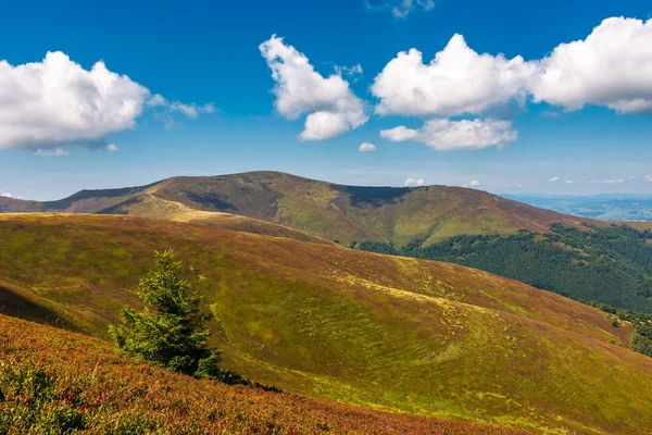 Krásná kopcovitá krajina Karpaty — Stock fotografie