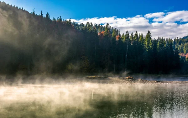 Кипящая вода озера в еловом лесу — стоковое фото