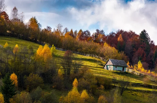 Elhagyott ház őszi erdőben a domboldalon — Stock Fotó