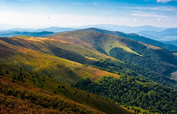 Rullande hill av bergsryggen i slutet av sommaren — Stockfoto