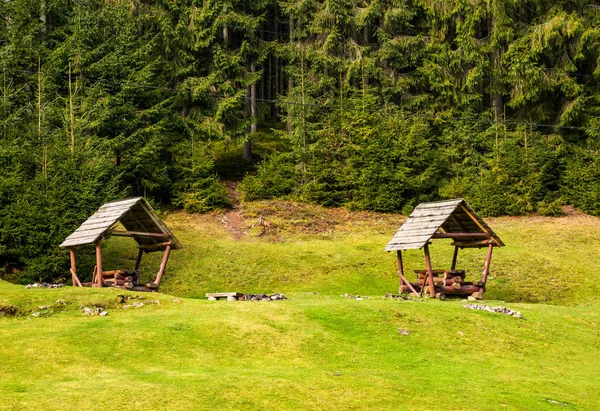 Miejsce na campingu na Polanie w lesie — Zdjęcie stockowe