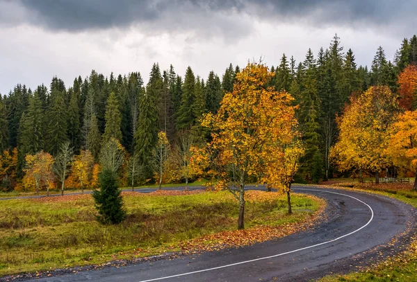 Turnaround of the forest road — Stock Photo, Image