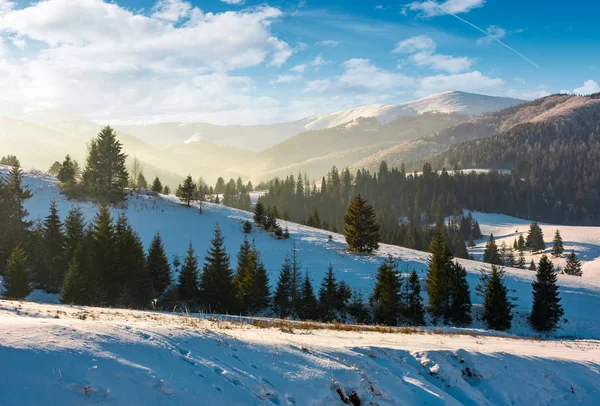 Beboste heuvels van de bergkam in de winter — Stockfoto