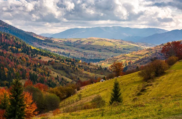 Landsbygden i höst — Stockfoto