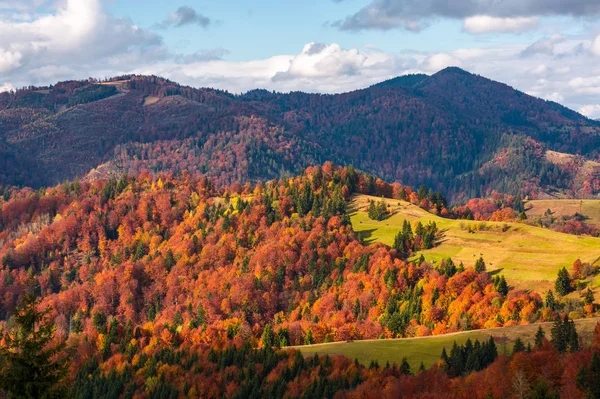 Vidéki ősszel — Stock Fotó