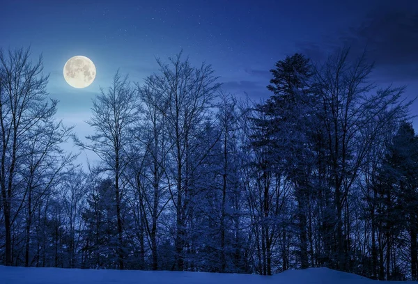 Wald am verschneiten Hang in der Nacht — Stockfoto