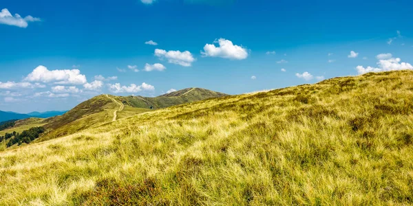 Panorama of grassy mountain ridge — Stock Photo, Image