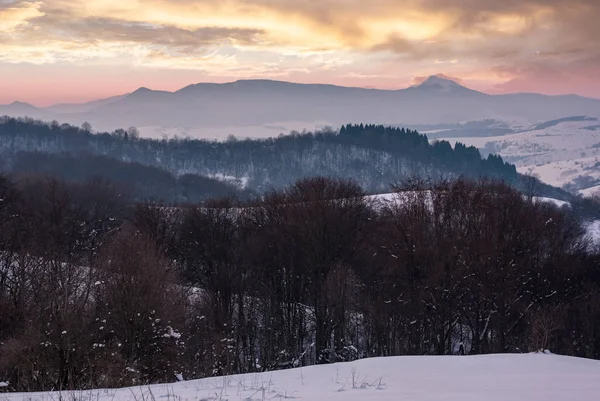 Collines boisées sans feuilles à l'aube de l'hiver — Photo