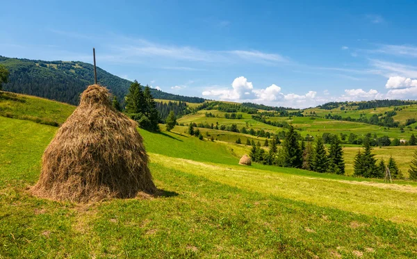 Стовбур сіна на трав'янистому сільському полі в горах — стокове фото