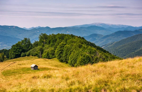 Shed near the forest on a grassy slope — Stock Photo, Image