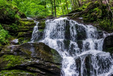 Büyük şelale Shypit Karpat Dağları'nda