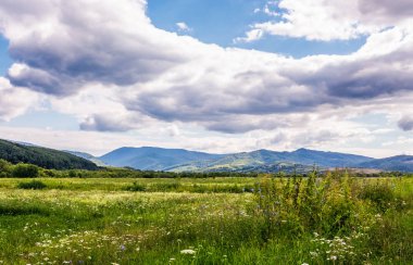 Dağlık kırsal tarım alanları