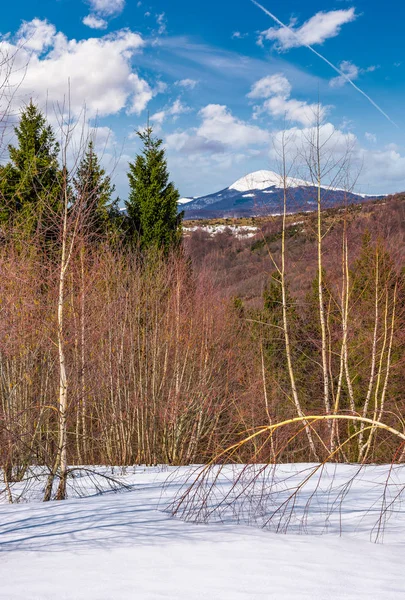 Printemps arrive à la montagne enneigée — Photo