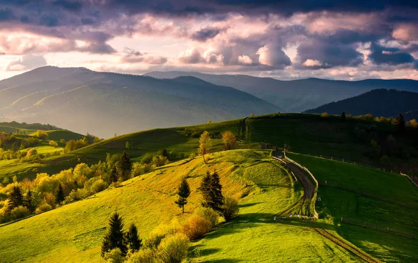 Загородная дорога через зеленые холмы на закате — стоковое фото