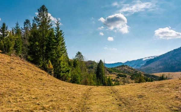 Bewaldete Berge der Karpaten im Frühling — Stockfoto