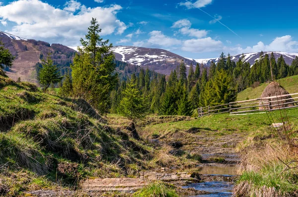 Schöne Berglandschaft im Frühling — Stockfoto