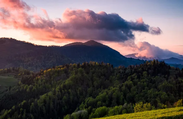 Rosa moln över toppen av ett skogsklädda berg — Stockfoto