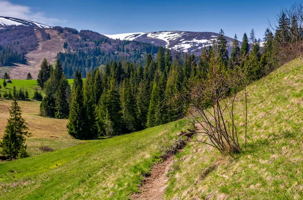 Bahar güzel doğa manzarası
