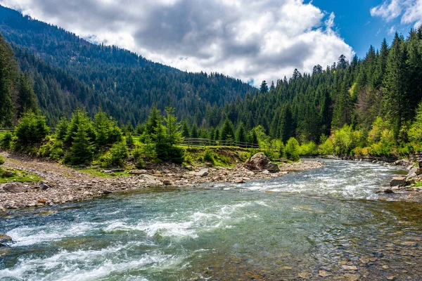 Río Tereblya de las montañas Cárpatas — Foto de Stock