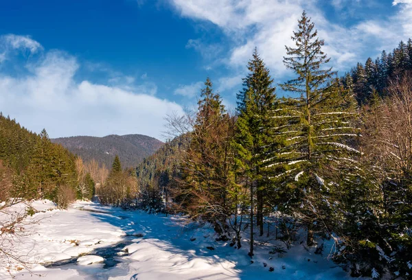 Tereblya river i Karpaterna i vinter — Stockfoto
