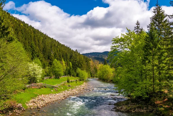 Tereblya Fluss der Karpaten — Stockfoto