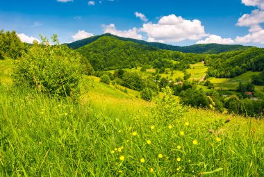 Dağlık kırsal alanda çimenli alanları