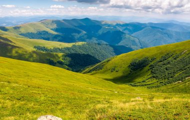 tepe yan yaz çayır