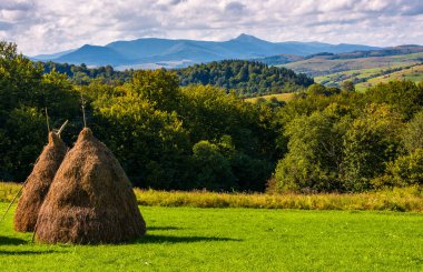 Samanlık yamaca çimenli bahçede