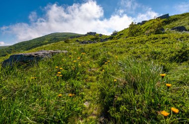 otsu çayır büyük kayalar için yol