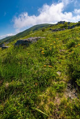 otsu çayır büyük kayalar için yol