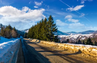yol kışın ormanı