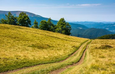 çimenli tepe kırsal yolda