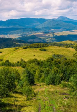 Crapathians güzel kırsal 