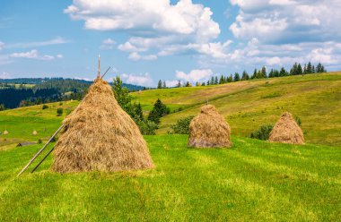 haystacks üst üste çimenli alan