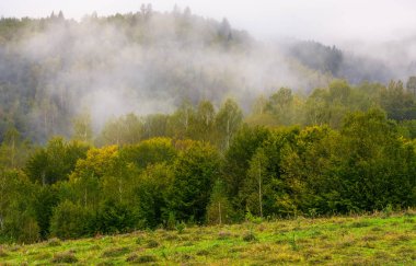 sis ve ormanlık dağlar üzerinde alçak bulutlar