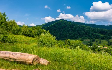 bulutlu bir günde çimenli kırsal alanların