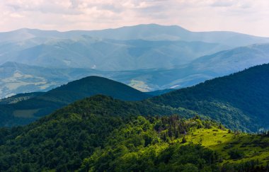 Karpatlar ormanlık tepelerinde ışık spot