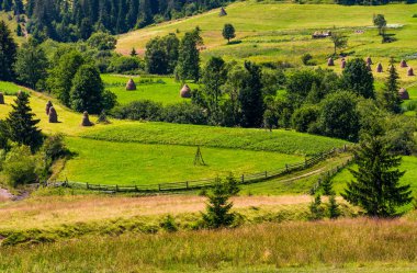 Tarım tepeler ve haystacks