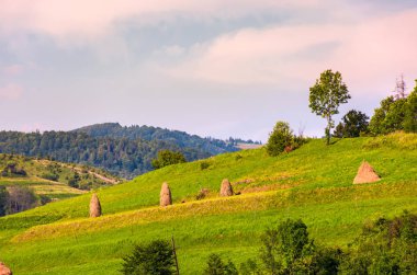 haystacks kırsal alanda çimenli yamaçları üzerinde