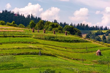 haystacks kırsal alanda çimenli yamaçları üzerinde