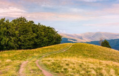 Karpatlar'ın tepeleri ile yol iz