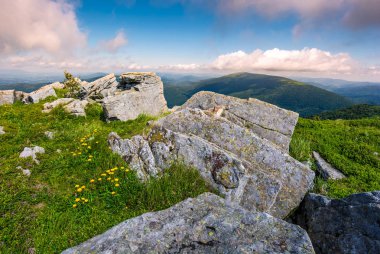 Karpat Dağları çimenli yamaçları ve kayalar ile