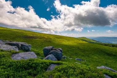 Runa Dağı'nın otsu çayır